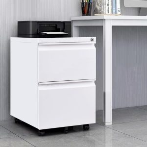 Panana 2-Drawer Mobile File Cabinet with Lock, Commercial Vertical Cabinet, Rolling Filing Cabinet for Letter/A4 Size (White)